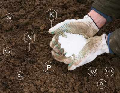 Lawn & Plant Fertilizers