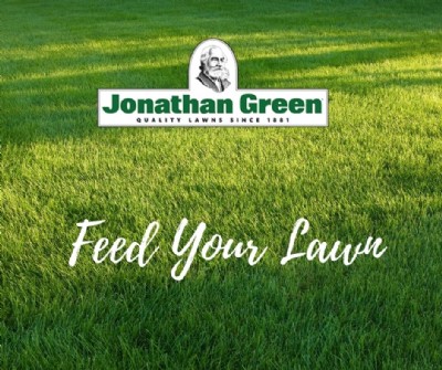 Grass Seed