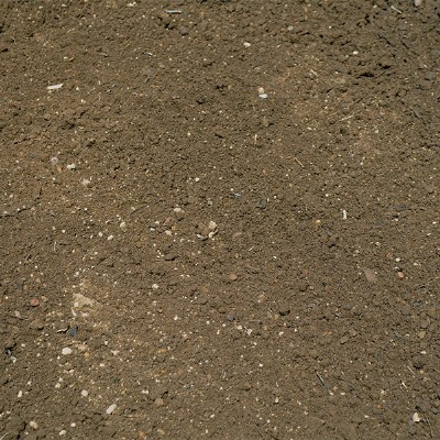 Topsoil
